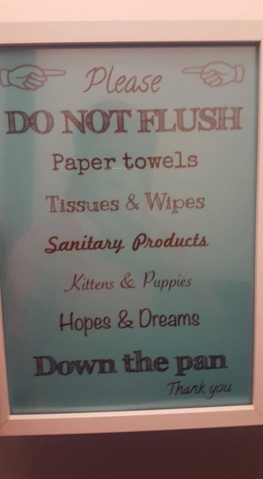 Amusing notice in the Ladies toilet