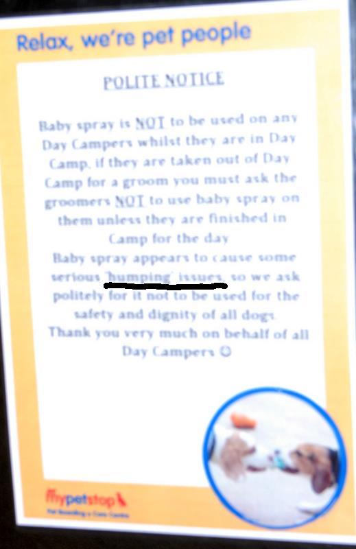 Beware of Baby Spray