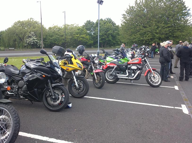 Some of the gathered bikes