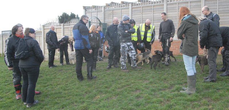 Meeting the dogs at Whitehall